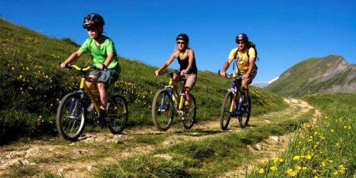 VTT-1200-X-800-bis VTT-1200-X-800-bis