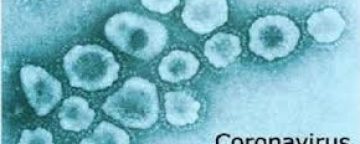 coronavirus